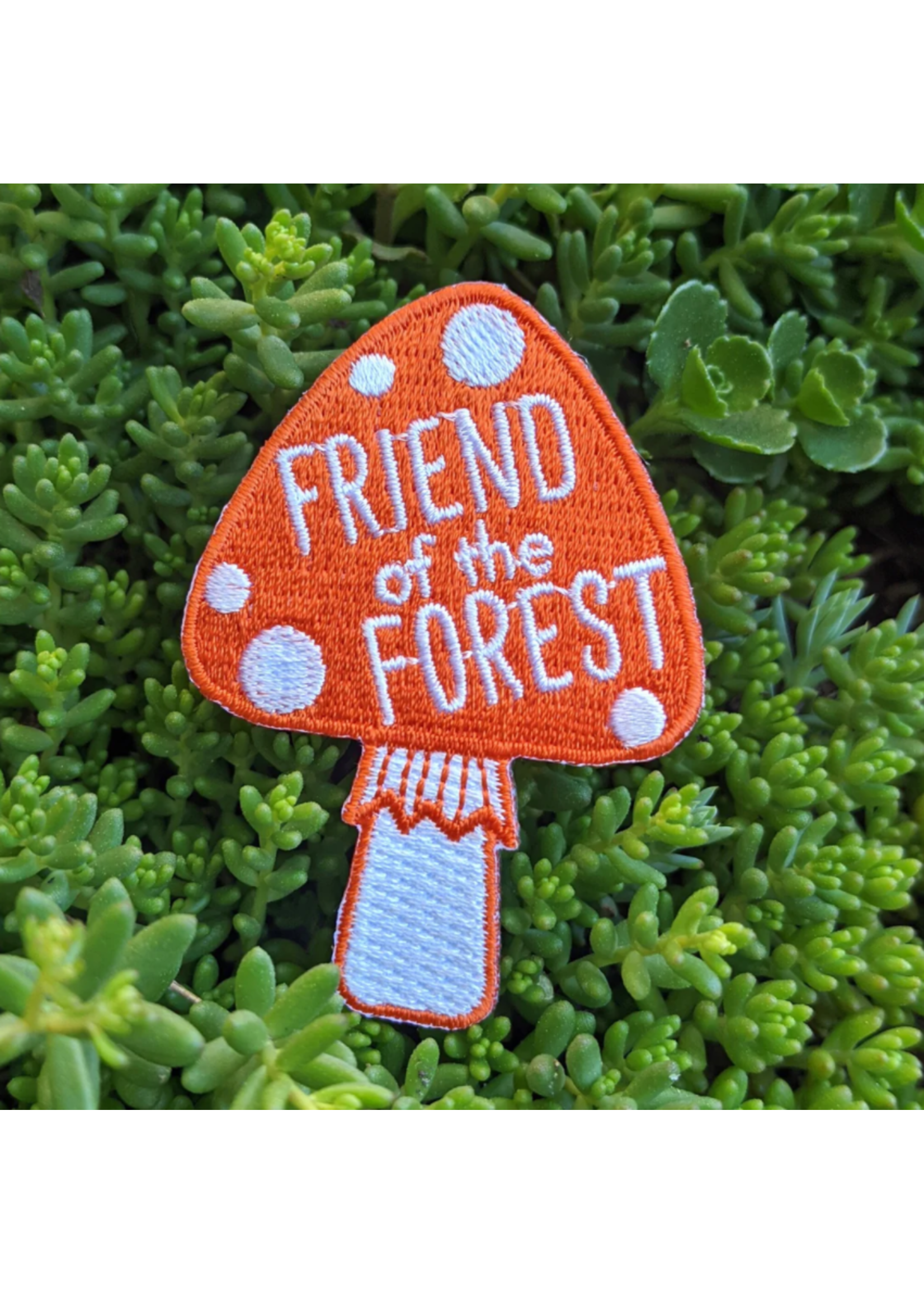 Sara Schalliol-Hodge I Like Sara Patches