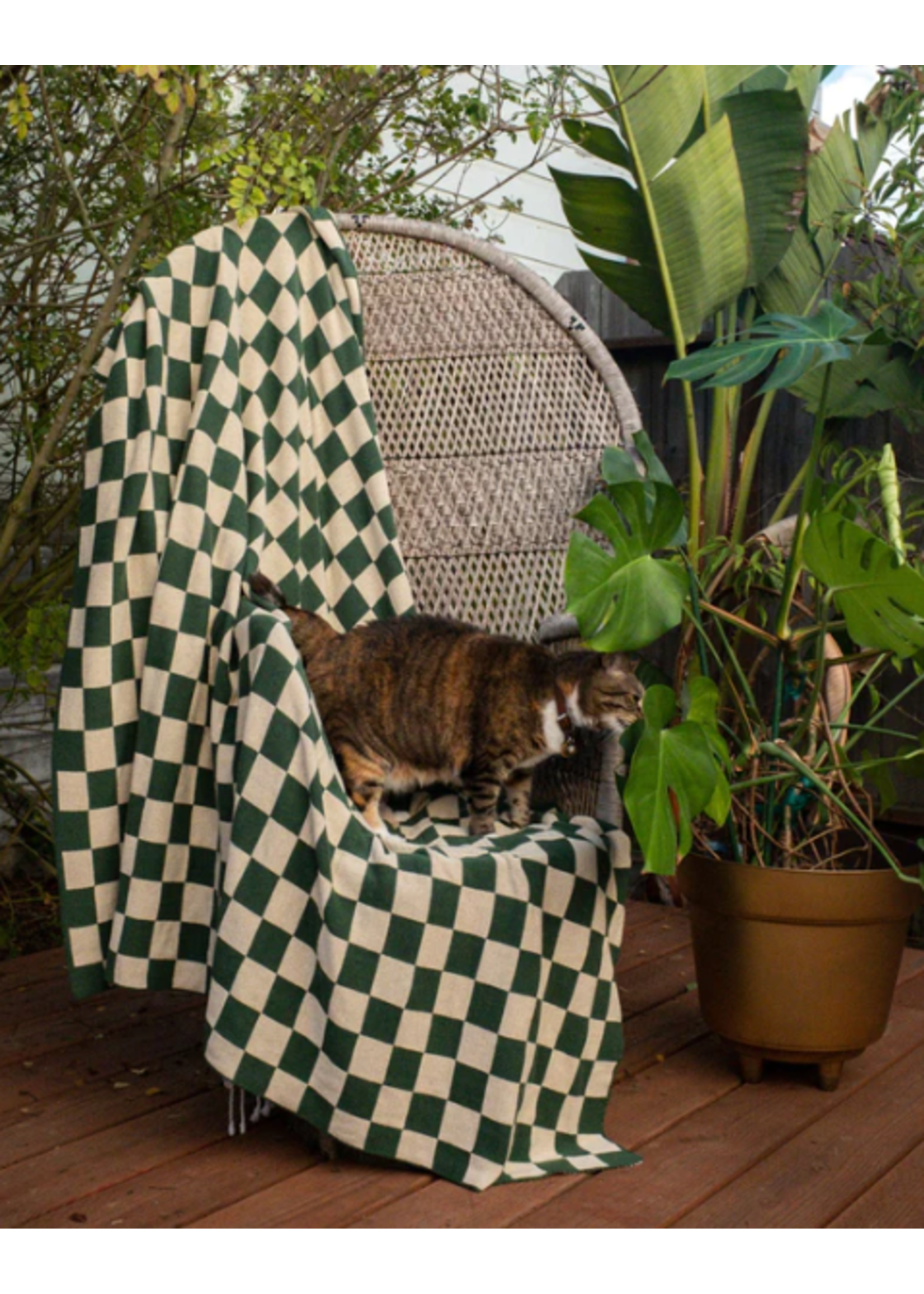 Anne Gates Green Checkered Throw