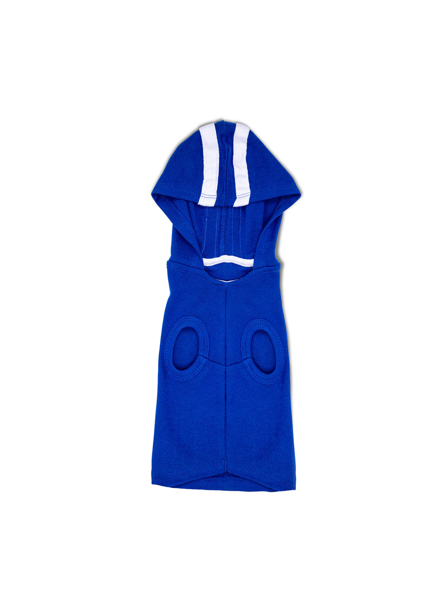 SCAD SCAD Dog Hoodie