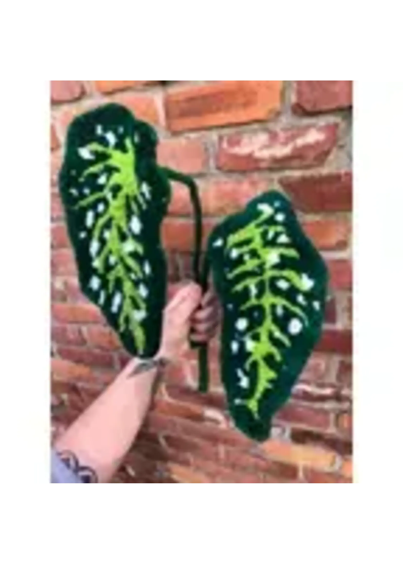 Rebecca Coll Rebecca Coll Tufted Polka Dot Begonia