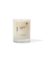 SCAD Lavender + Amber 14 oz SCAD Candle