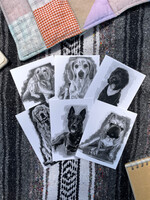Evan Edwards Evan Edwards Dog Notes