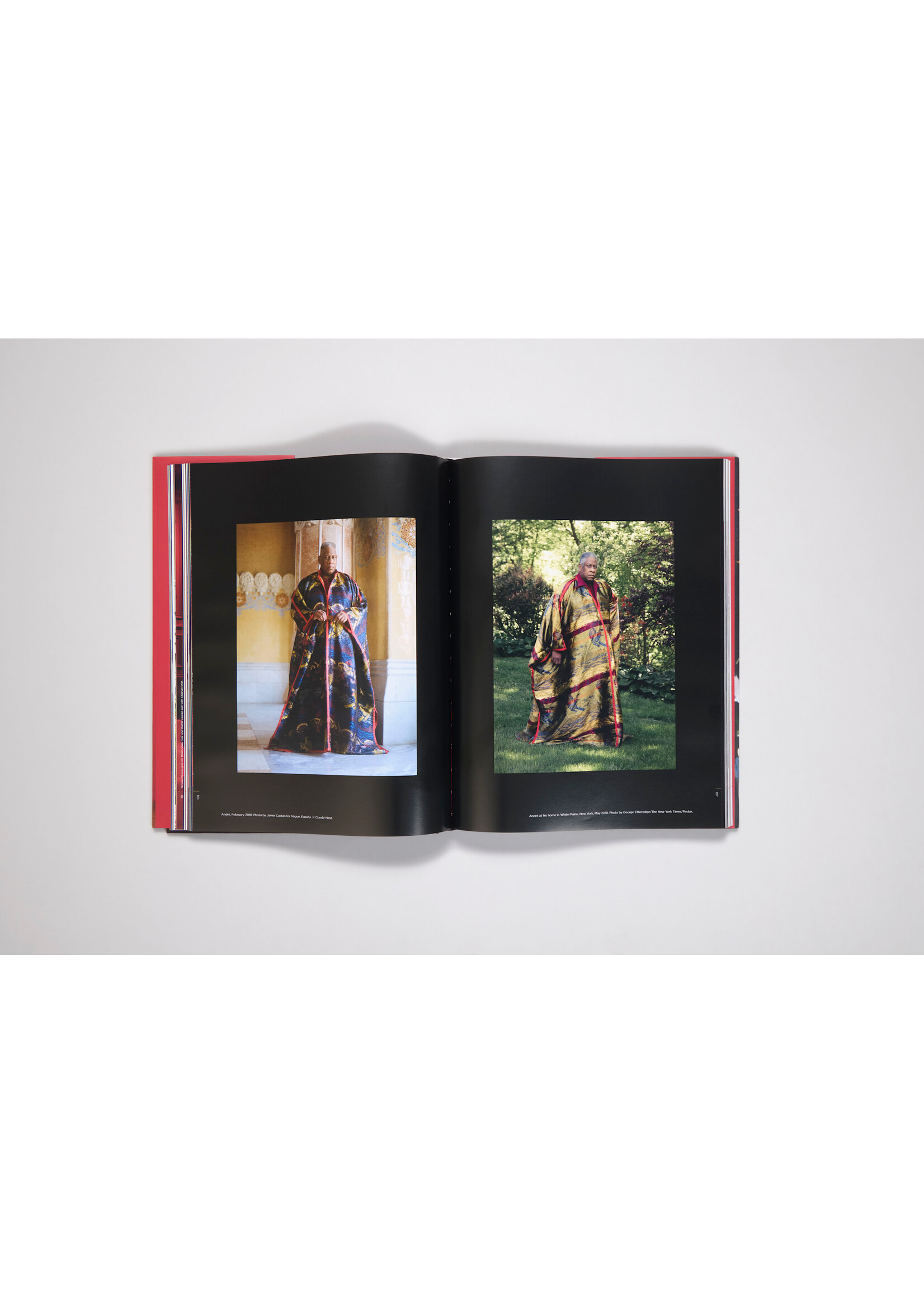 SCAD Andre Leon Talley: Style is Forever