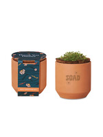 SCAD SCAD Tiny Terracotta Grow Kit