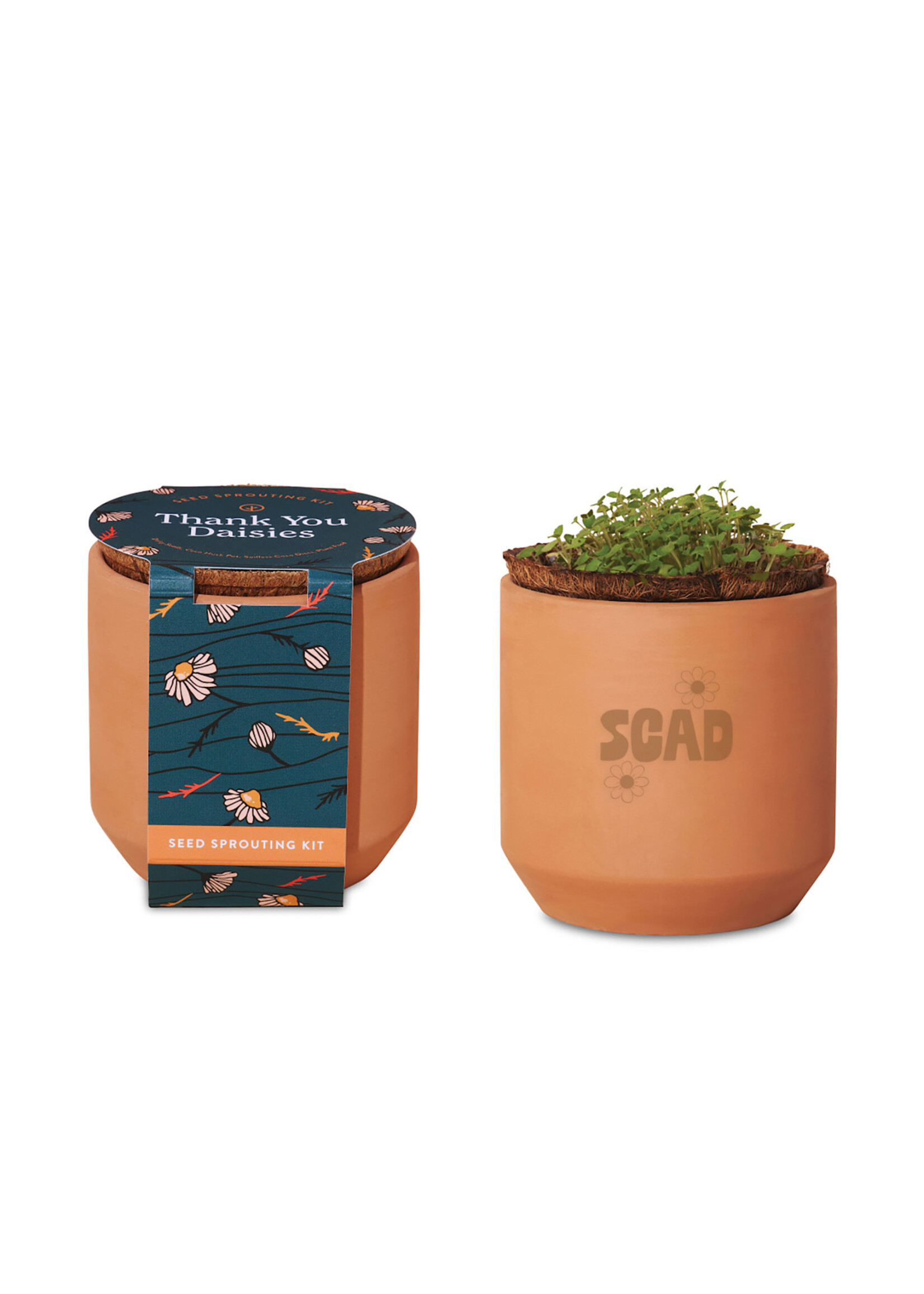 SCAD SCAD Tiny Terracotta Grow Kit
