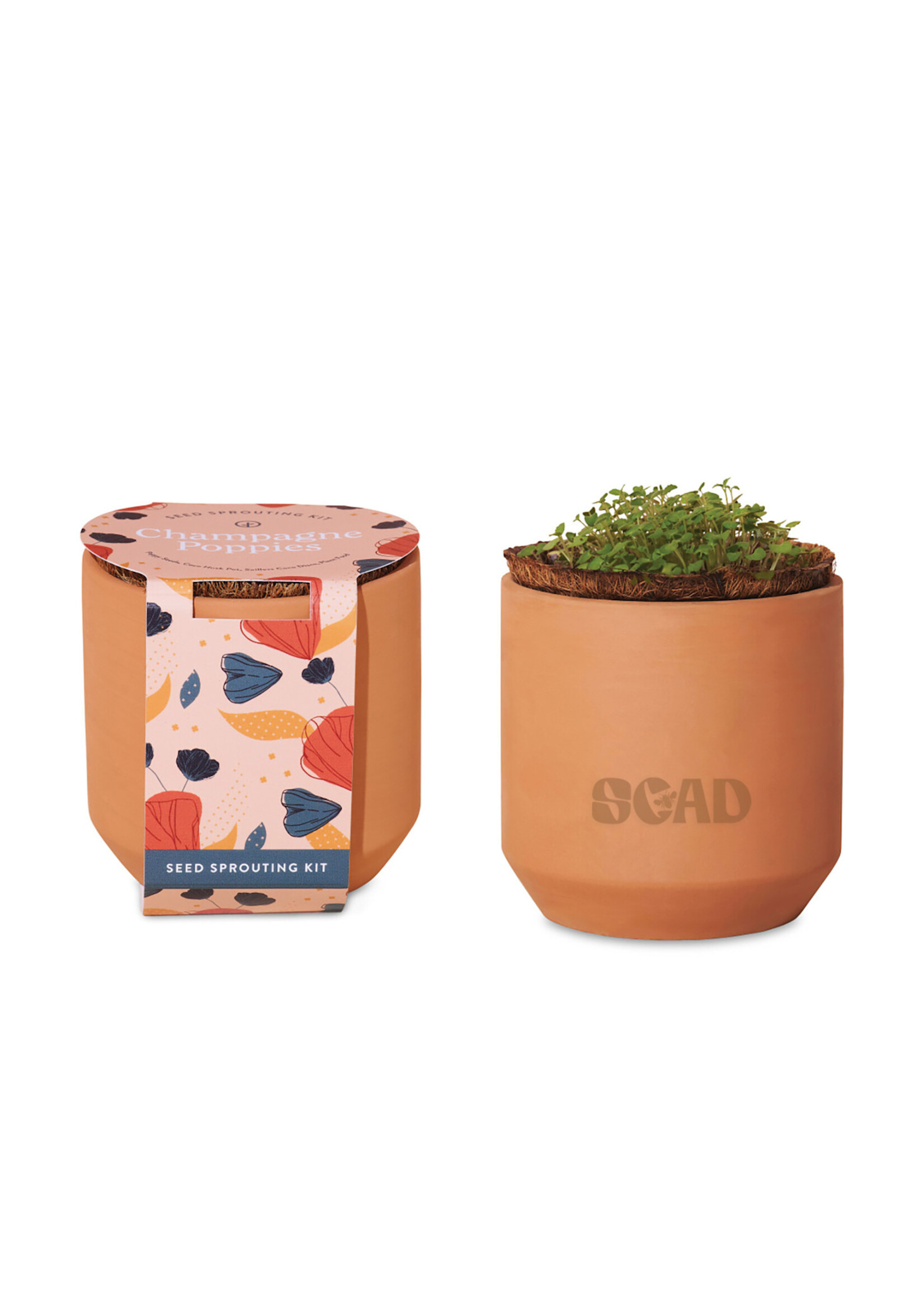 SCAD SCAD Tiny Terracotta Grow Kit