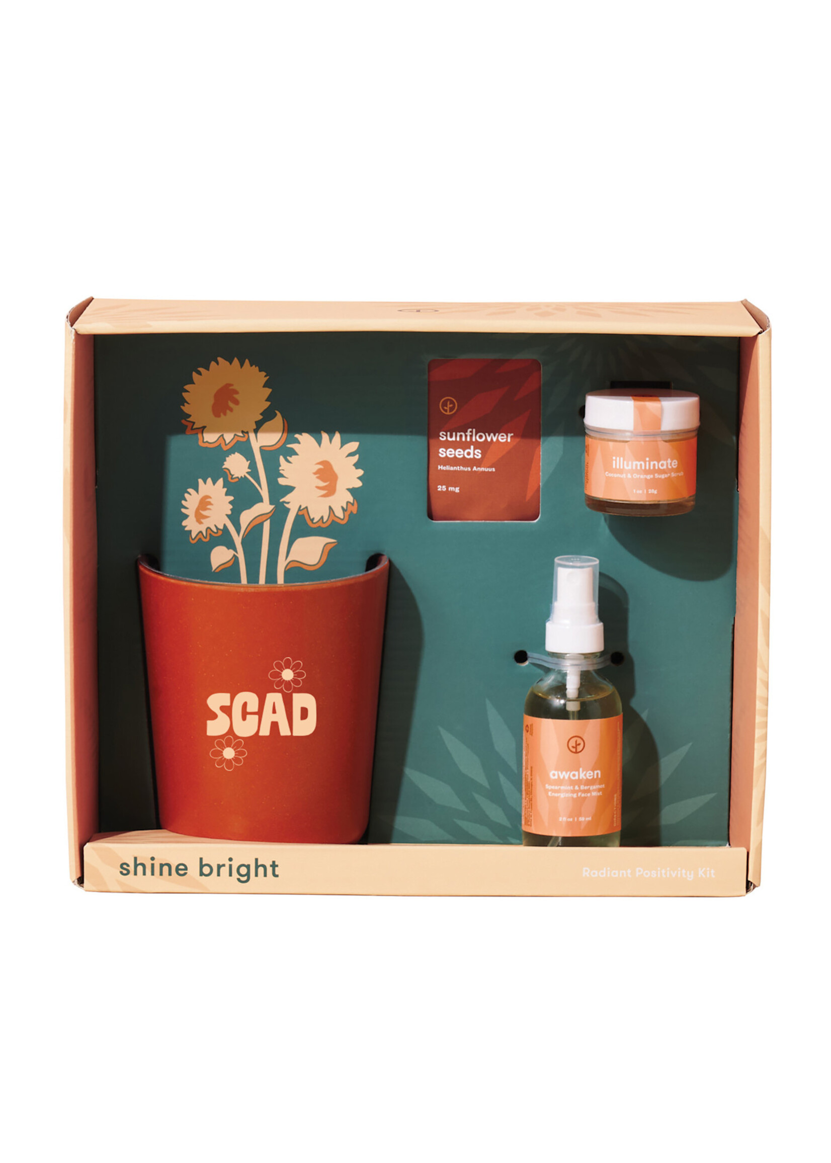 SCAD SCAD Shine Bright Take Care Kit