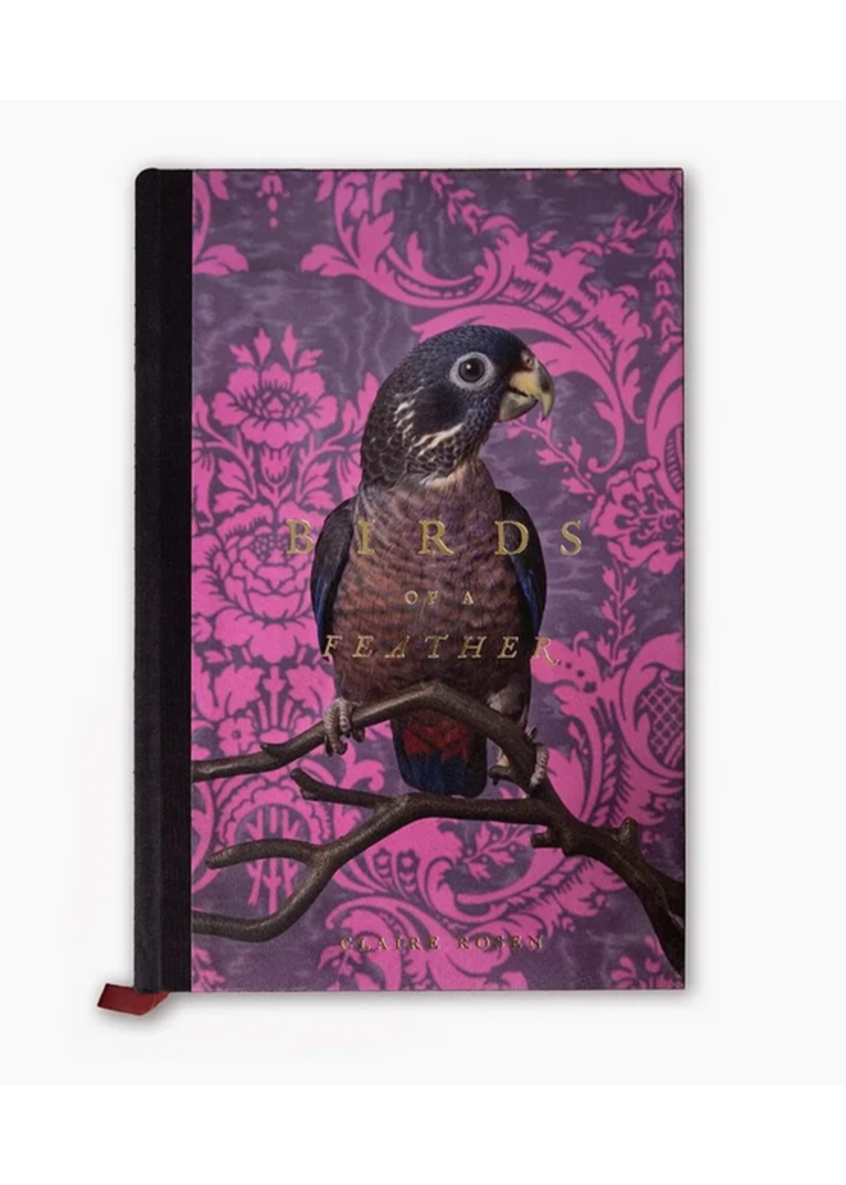 Claire Rosen Claire Rosen's Birds of a Feather