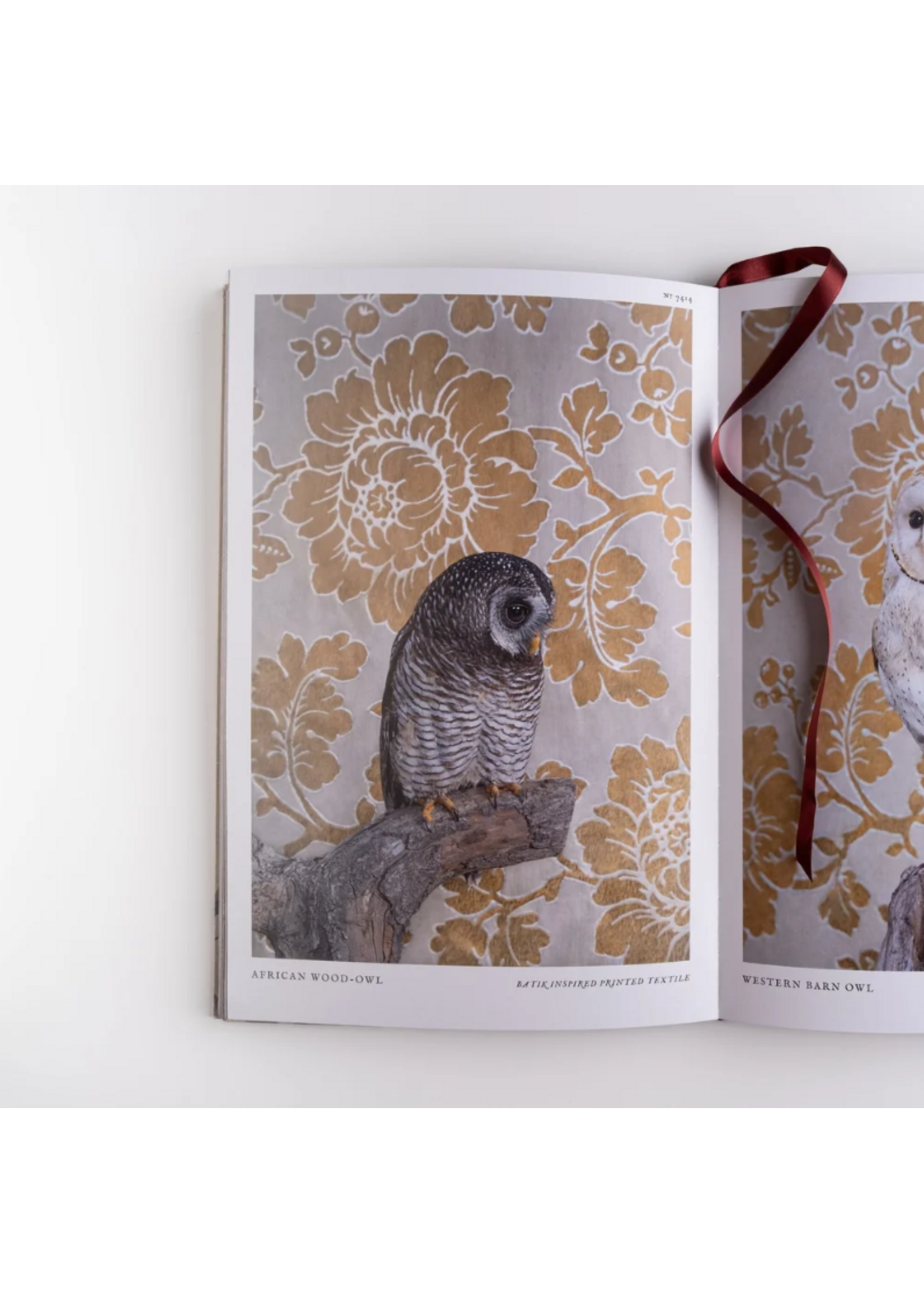 Claire Rosen Claire Rosen's Birds of a Feather