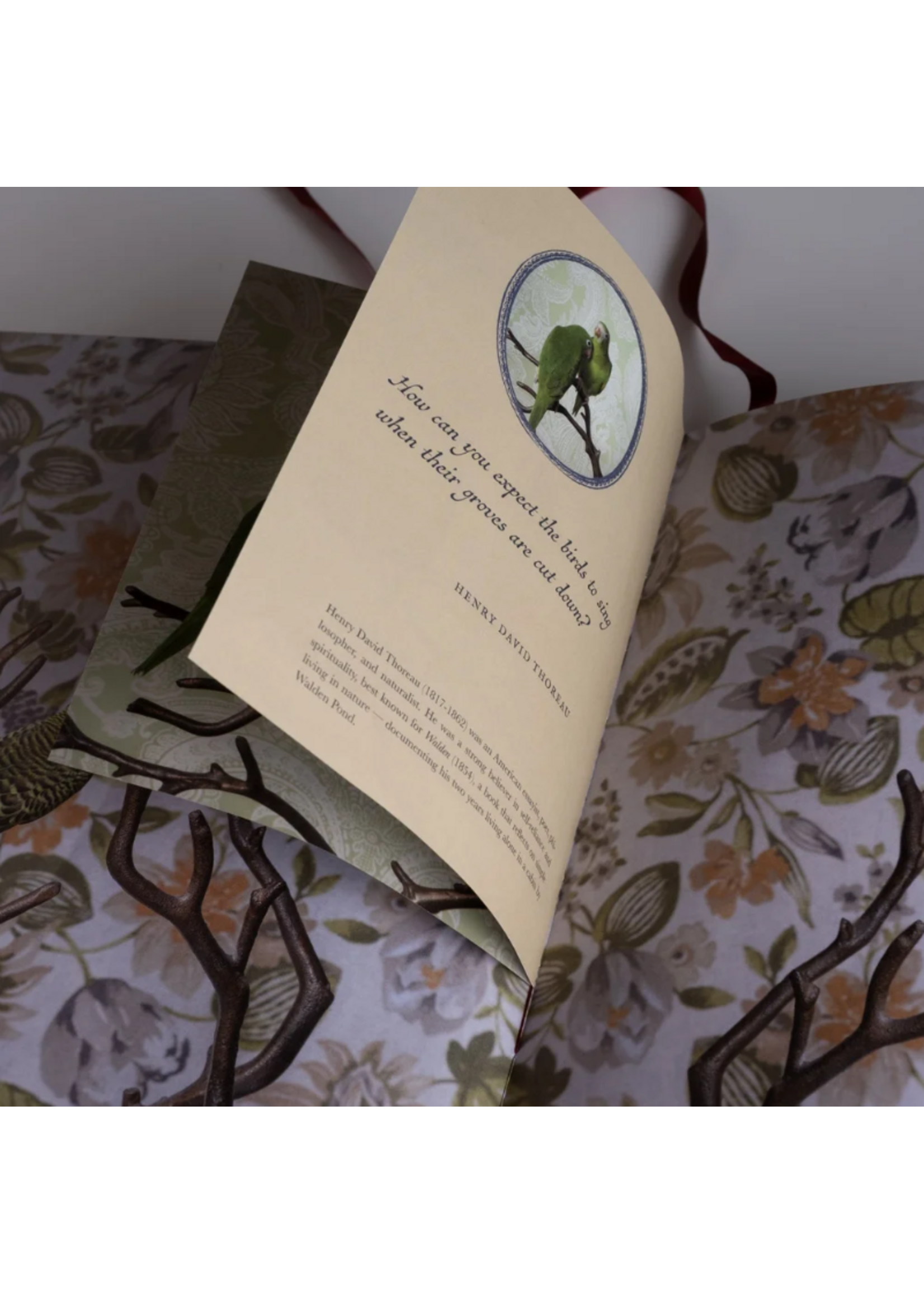 Claire Rosen Claire Rosen's Birds of a Feather