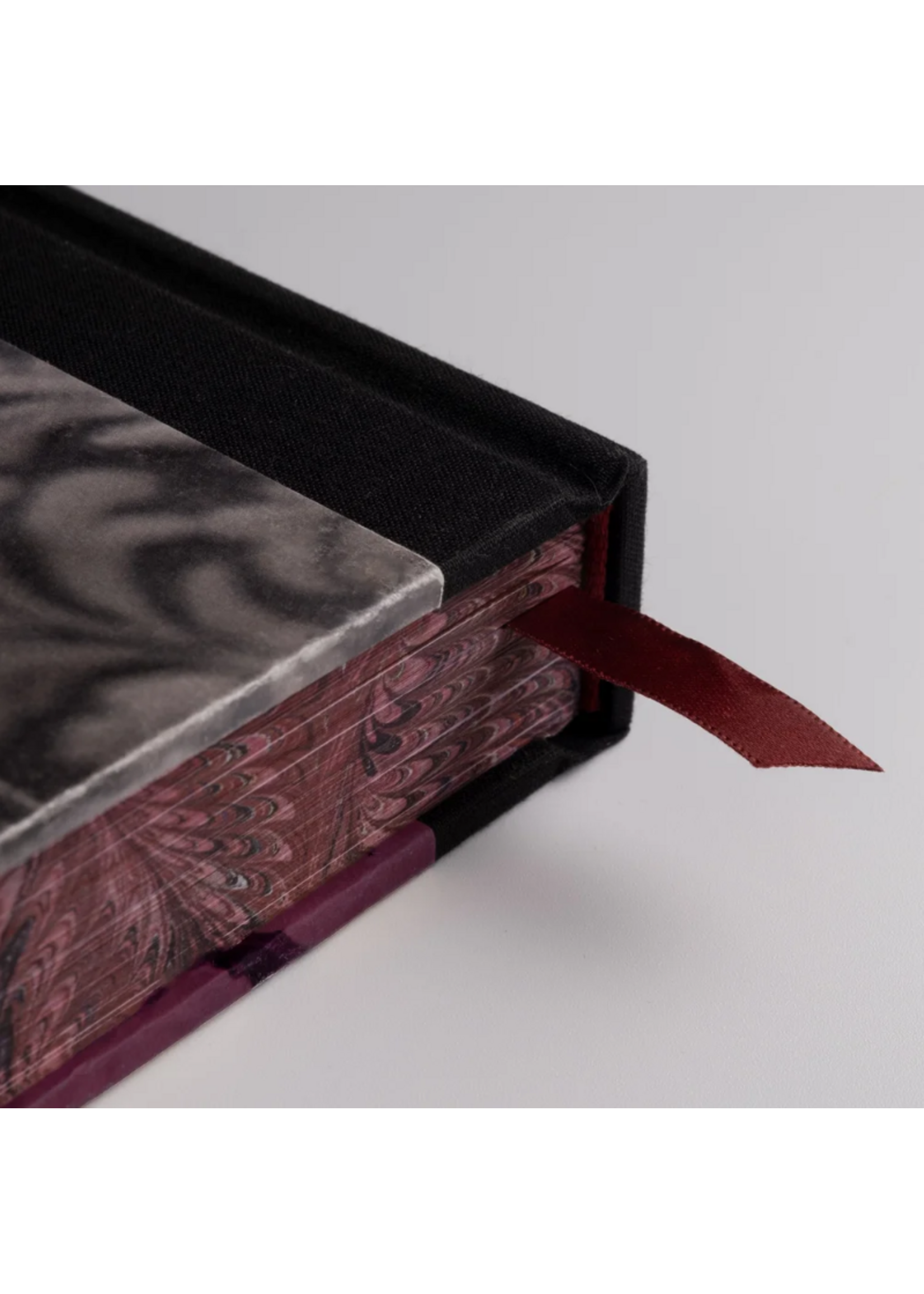 Claire Rosen Claire Rosen's Birds of a Feather