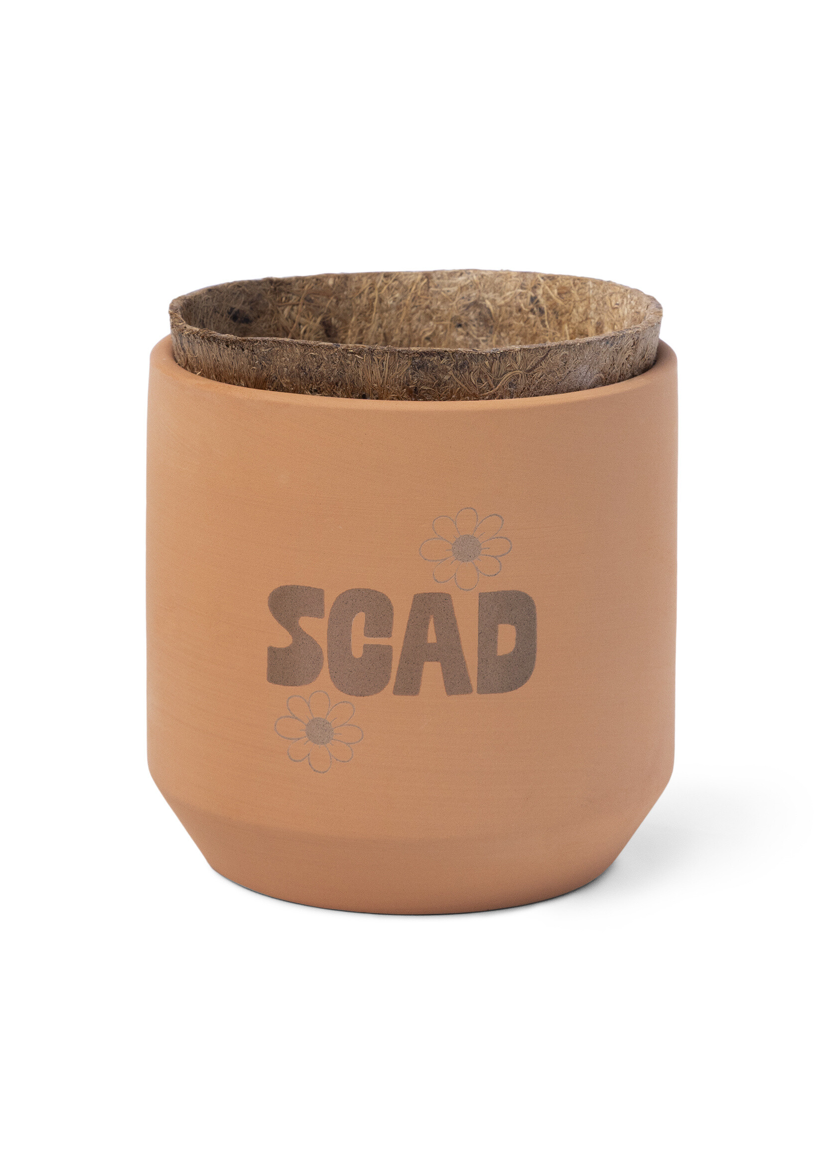 SCAD SCAD Tiny Terracotta Grow Kit