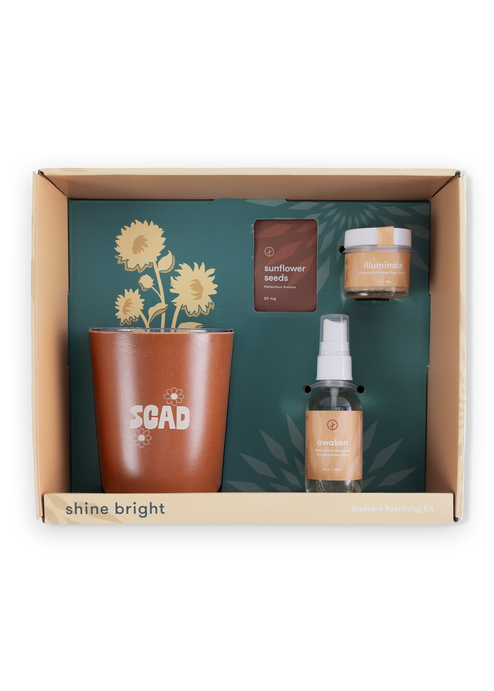 SCAD SCAD Shine Bright Take Care Kit