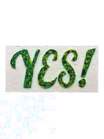 Billy Zurcher Lobster!