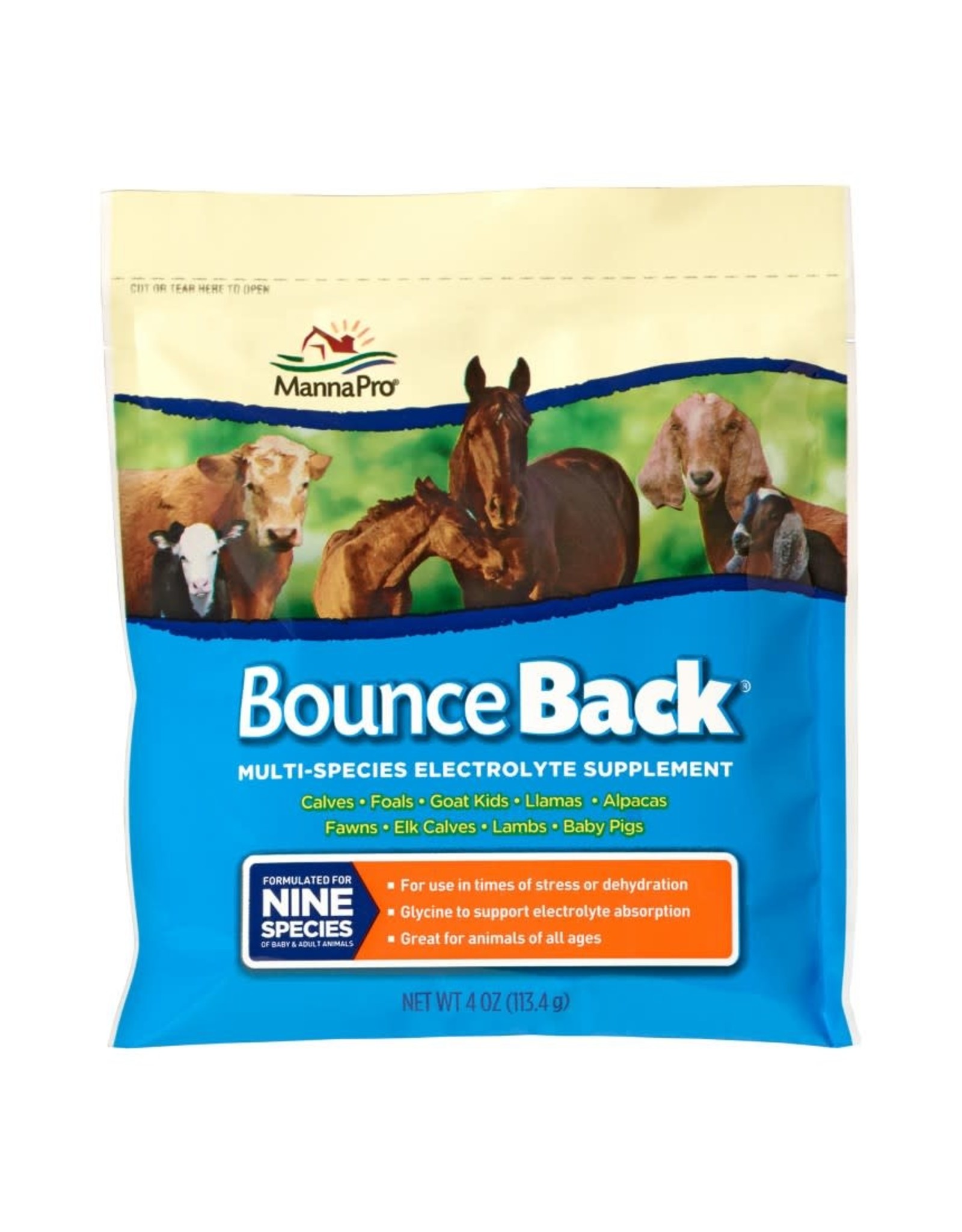 Bounce Back Electrolyte Supplement 4oz