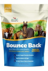 Bounce Back Multi Species Electrolyte Supplement 4lbs