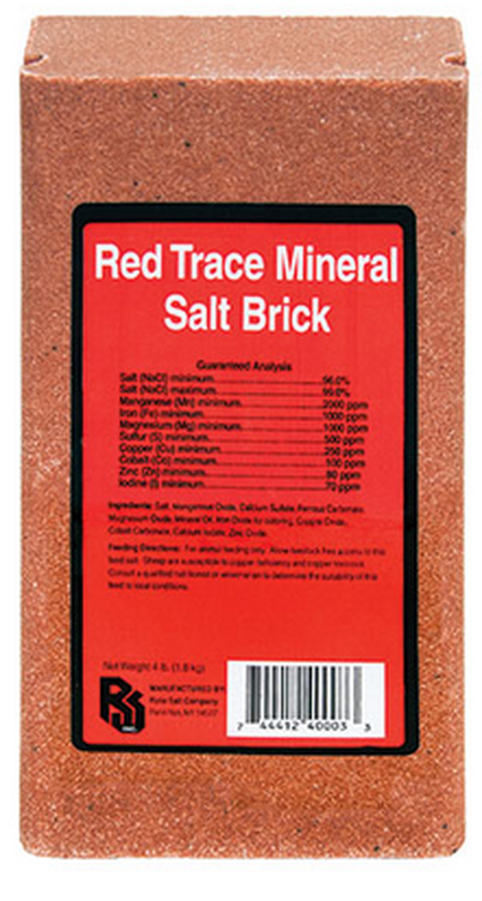 Trace Mineral Block Vs Salt Block at Nicholas McDonald blog
