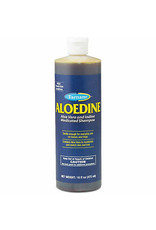 Aloedine Medicated Shampoo 16oz