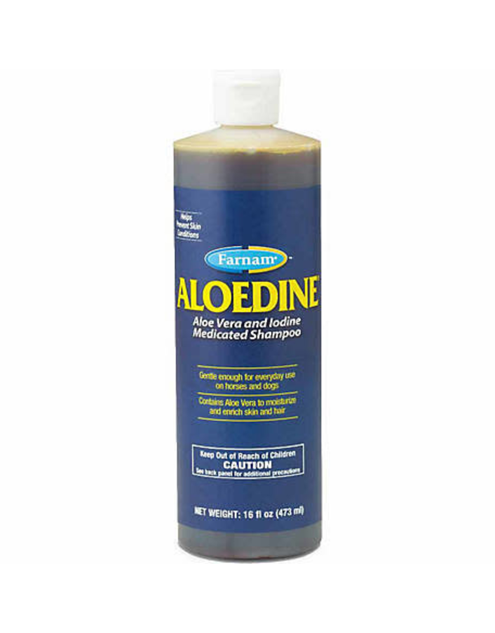 Aloedine Medicated Shampoo 16oz