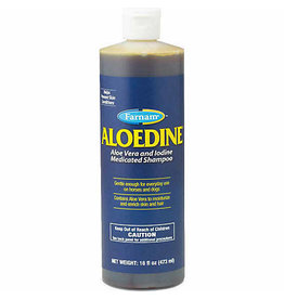 Aloedine Medicated Shampoo 16oz