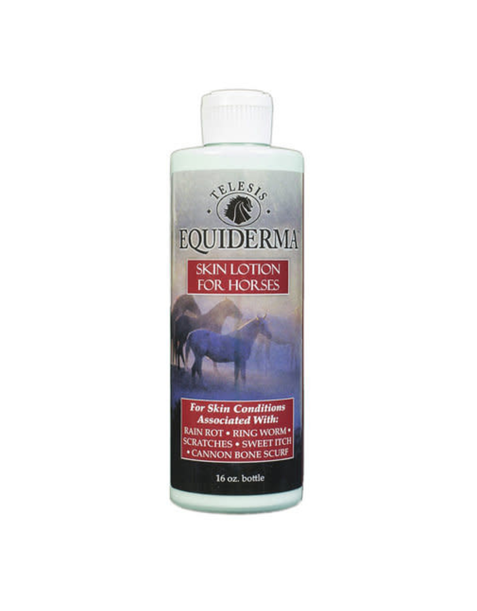 Equiderma Skin Lotion for Horses