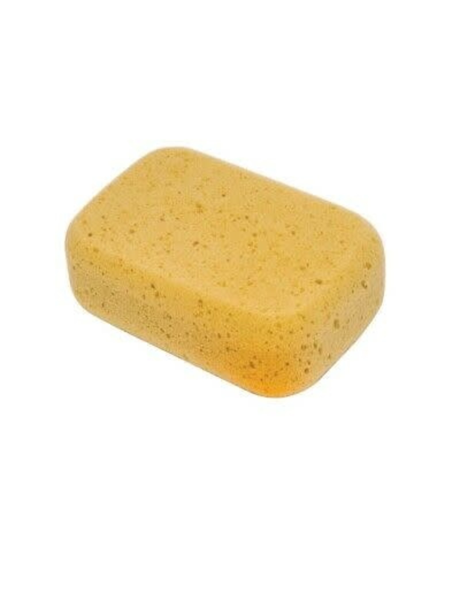 Equine Wash Sponge