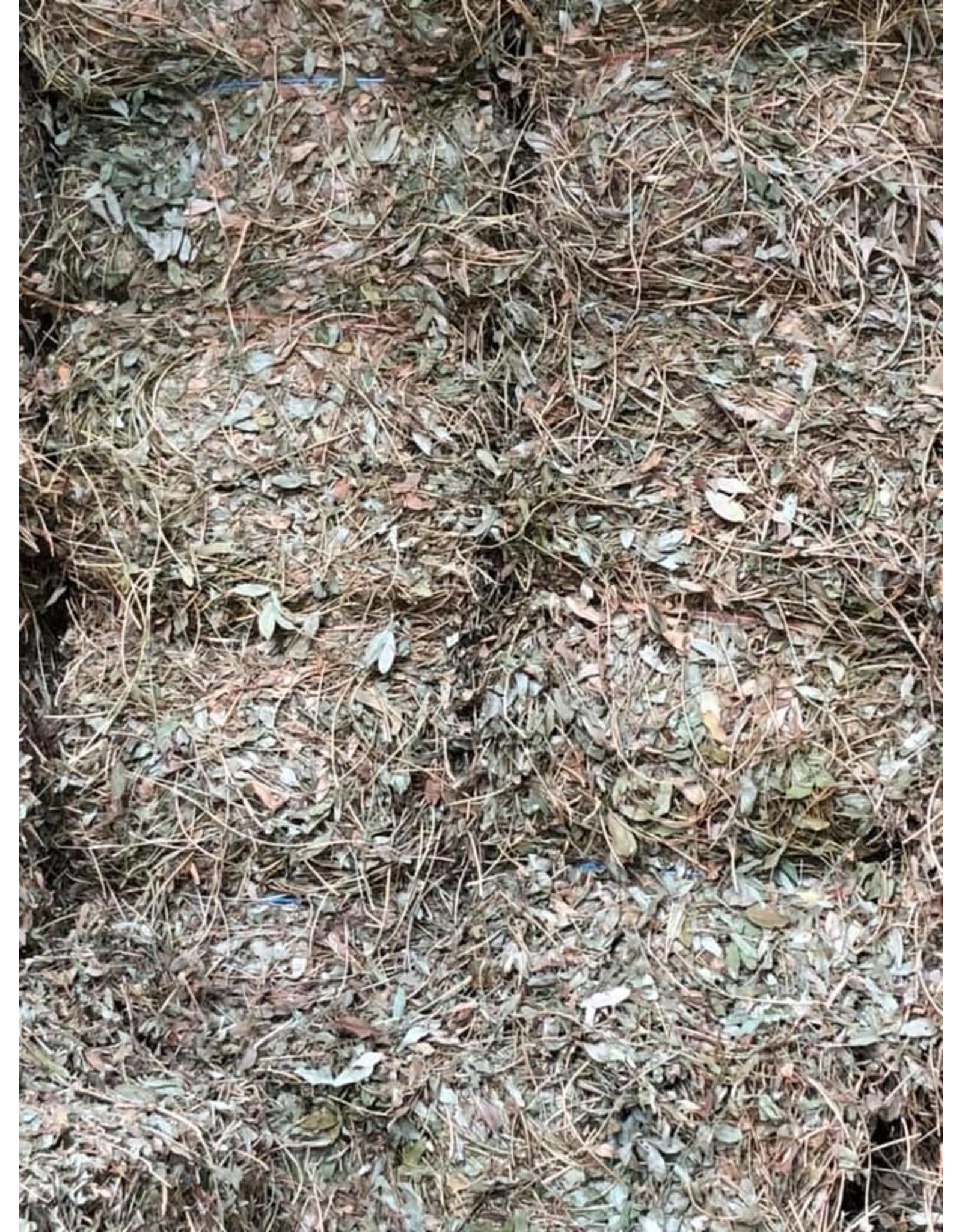 Perennial Peanut Hay