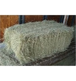 Coastal Bermuda 2-string Bale (#3)