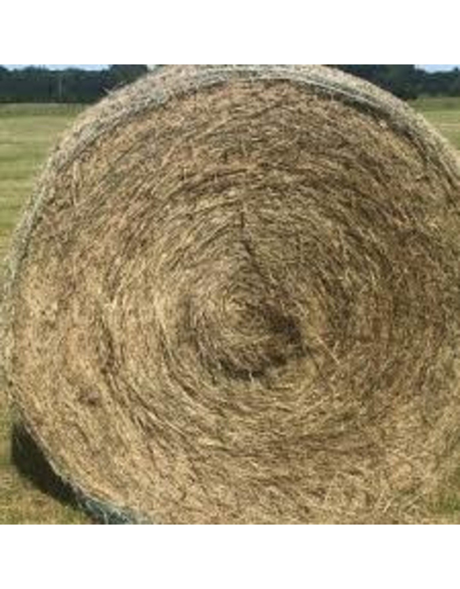 Floralta Hemarthria Round Bale (Cow Hay)