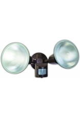 Motion Sensor Twin Flood Light