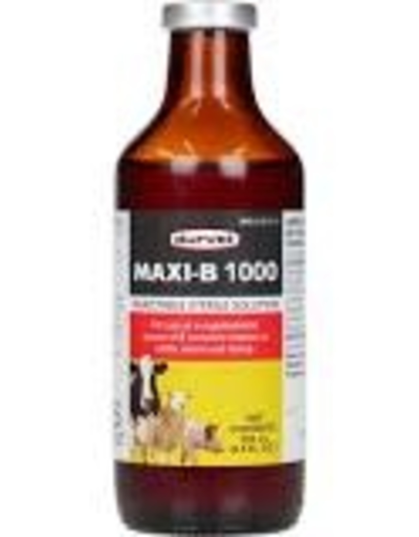 Maxi-B 1000 100ml