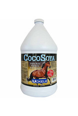 CocoSoya Oil Gallon