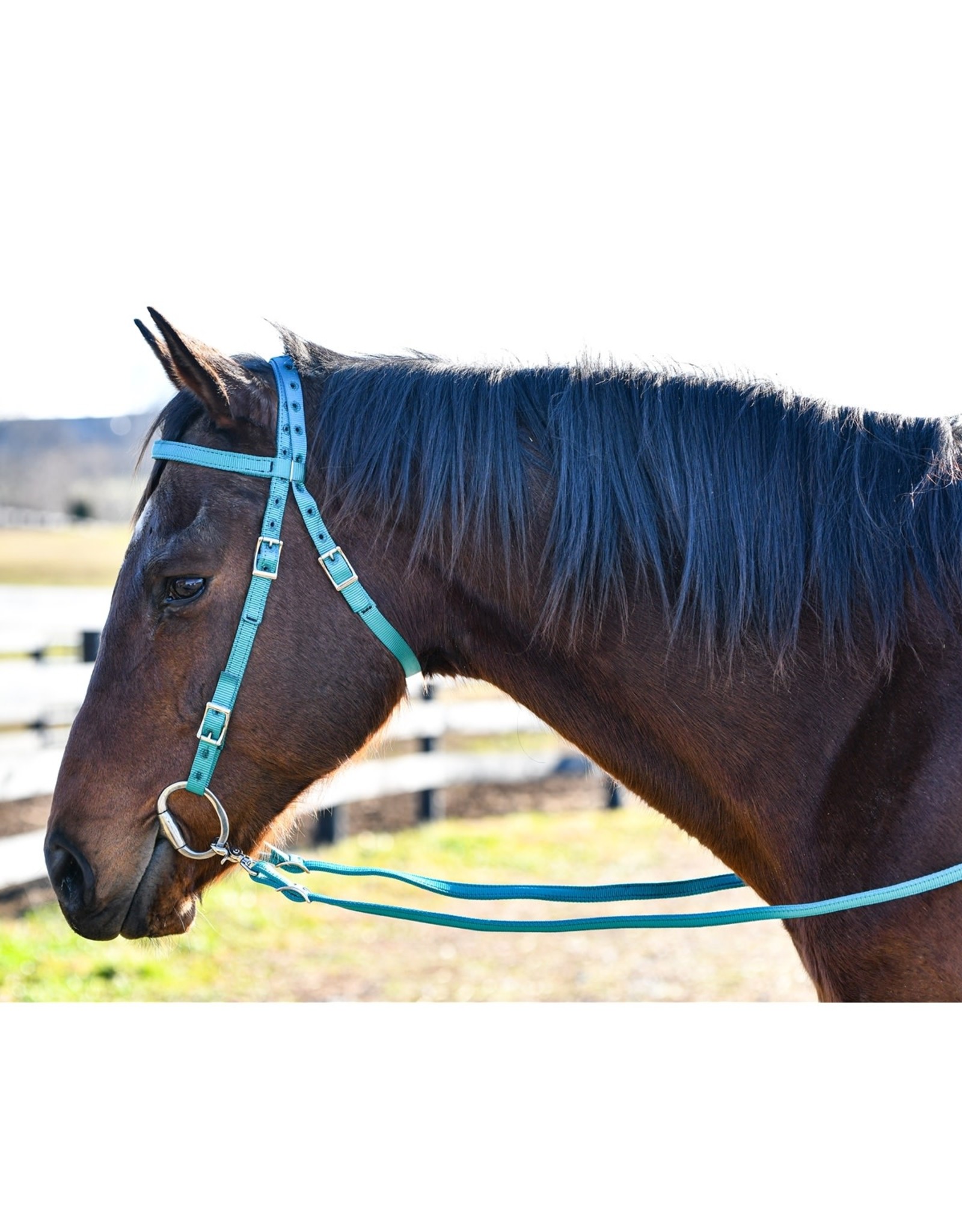 Nylon Blue Headstall