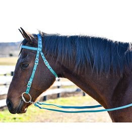 Nylon Blue Headstall