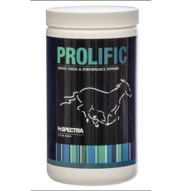 Spectra Equine Prolific Equine 1.32lb