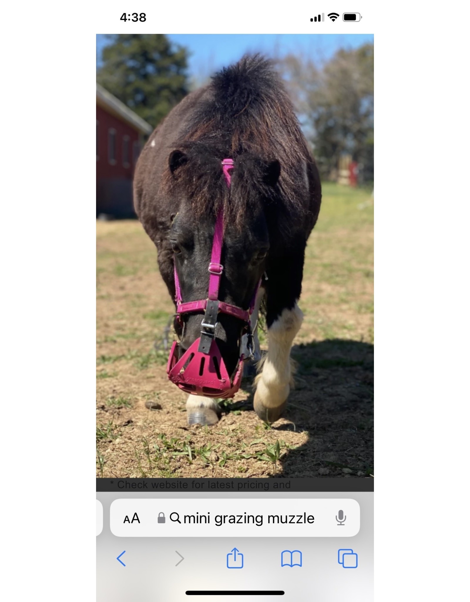 Mini Grazing Muzzle