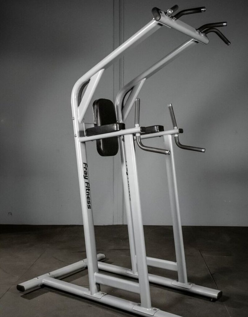 Pullup Leg Raise Dip Commercial Line Fray Fitness