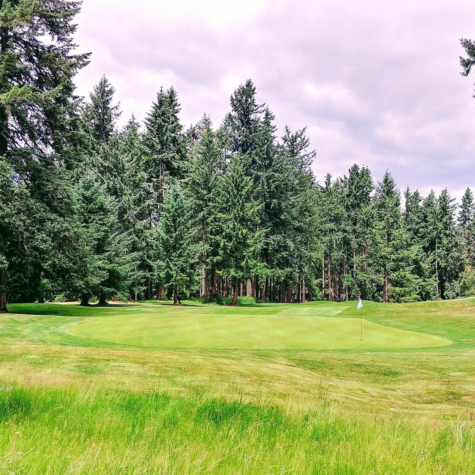 Meadow Park 10 Round Punch Card (Championship 18 Course)