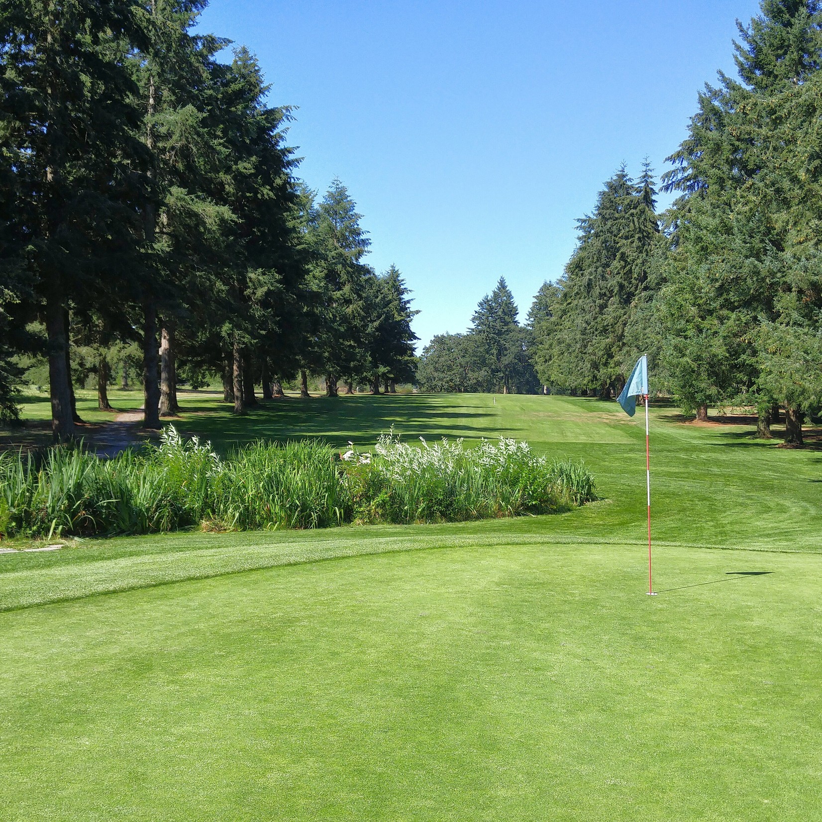 Meadow Park 9 Hole-10 Round Punch Card (Champ 18 Course)