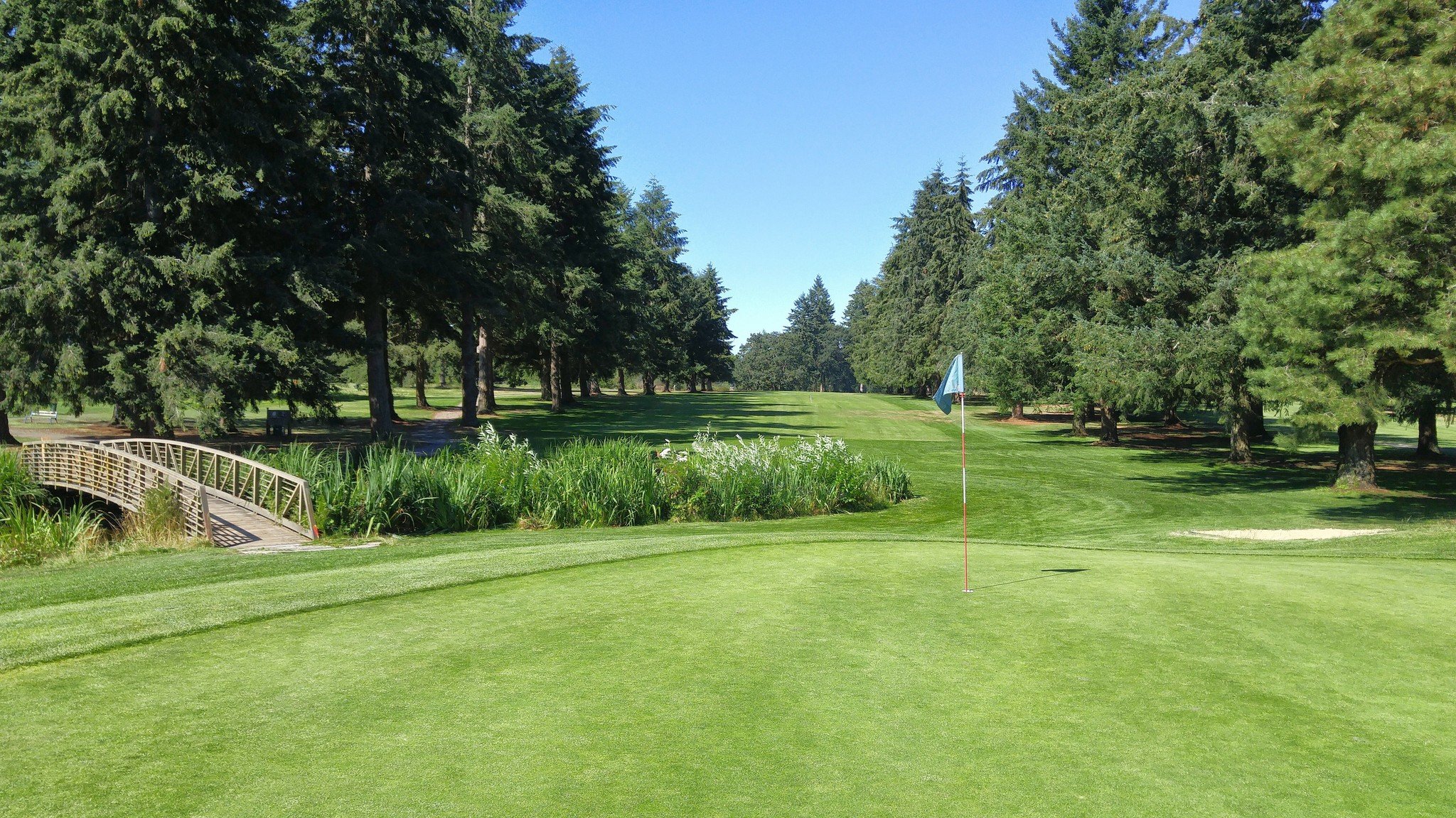 9 Hole10 Round Punch Card (Champ 18) Meadow Park Golf Course