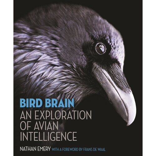 BIRD BRAIN: An Exploration of Avian Intelligence