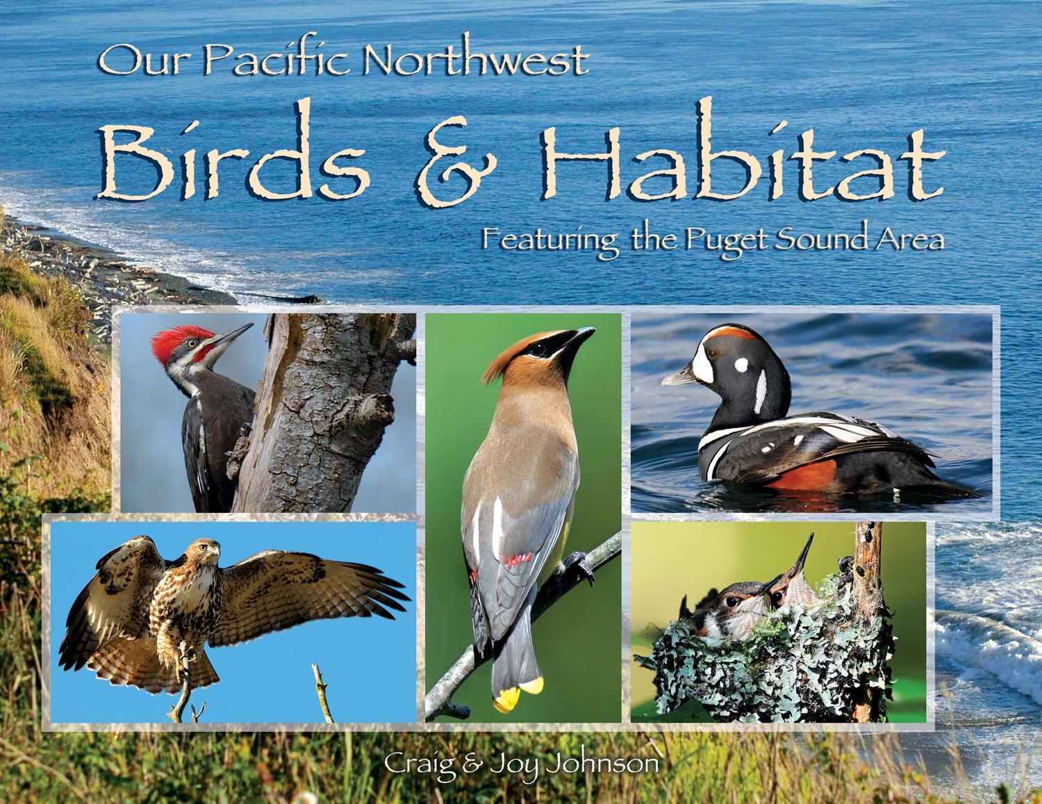OUR PACIFIC NW BIRDS & HABITAT Seattle Audubon Nature Shop