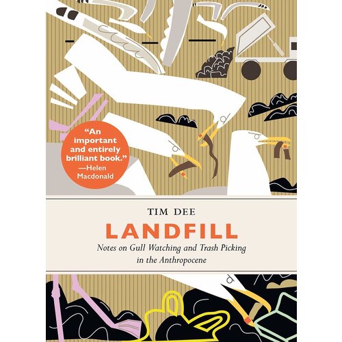 Landfill: Notes on Gull Watching in the Anthropocene