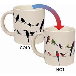 Unemployed Philosophers Guild Birds on a Wire Transforming Mug
