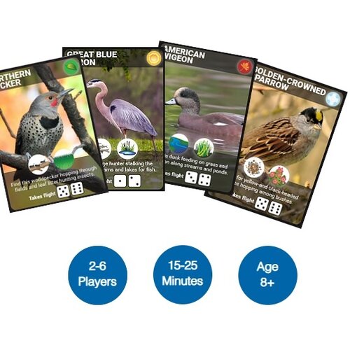 Backyard Birding: The Game
