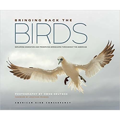 Bringing Back the Birds: Exploring Migration & Preserving Birdscapes - CLEARANCE