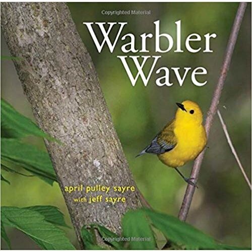 Warbler Wave-CLEARANCE