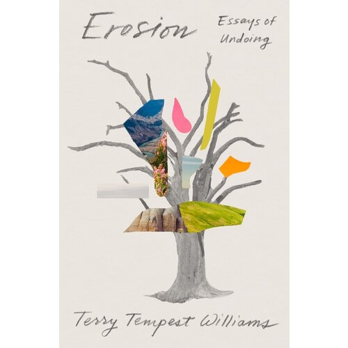 Erosion: Essays of Undoing - hardcoveer