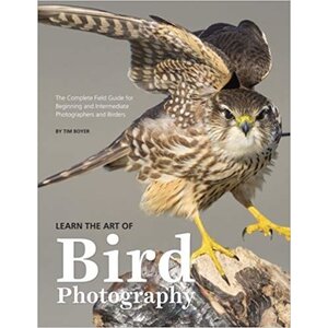 LEARN THE ART OF BIRD PHOTOGRAPHY