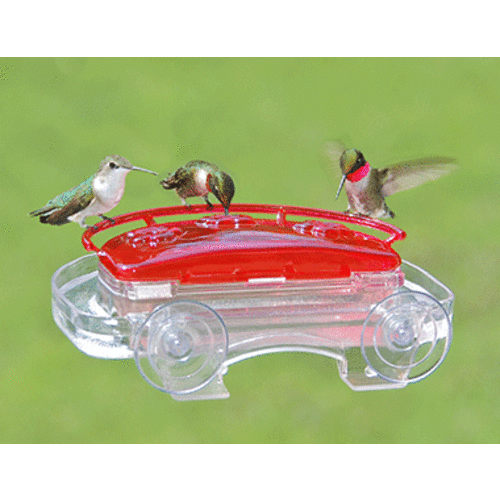 Aspects Hummingbird Jewel Box Window Feeder 8oz